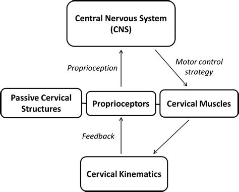 Sensorimotor Impairment in Neck Pain  